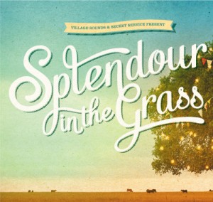 splendour in the grass